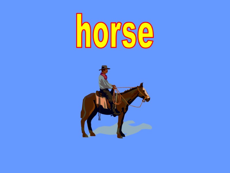 horse